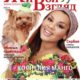 Мои работы: Журнал Живой взгляд