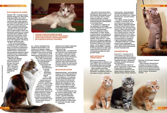 Мои работы: Журнал Живой взгляд