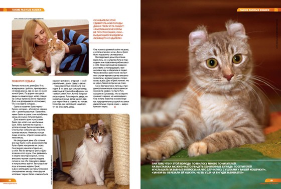 Мои работы: Журнал Живой взгляд